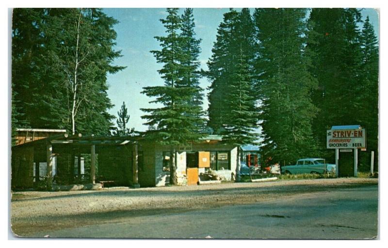 1950s/60s The Striv-En, Ebbetts Pass, Highway 4, CA Postcard *4W