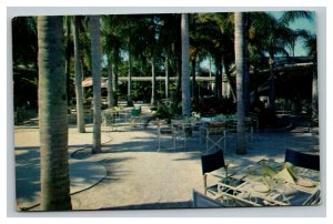 Vintage 1967 Advertising Postcard Palm Garden Restaurant Largo Florida