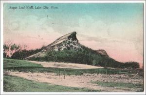 MN - Sugar Loaf Bluff, Lake City