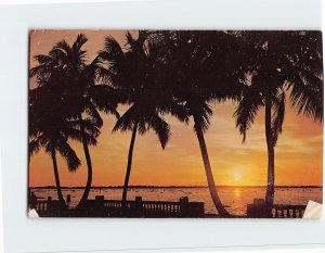 Postcard Florida Sunset, Florida