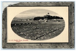 c1910 OAC Poultry Farm Agricultural College Chicken Corvallis Oregon OR Postcard