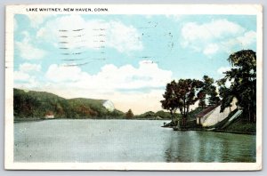 1920's Peaceful Lake Whitney New Haven Connecticut CT Posted Postcard