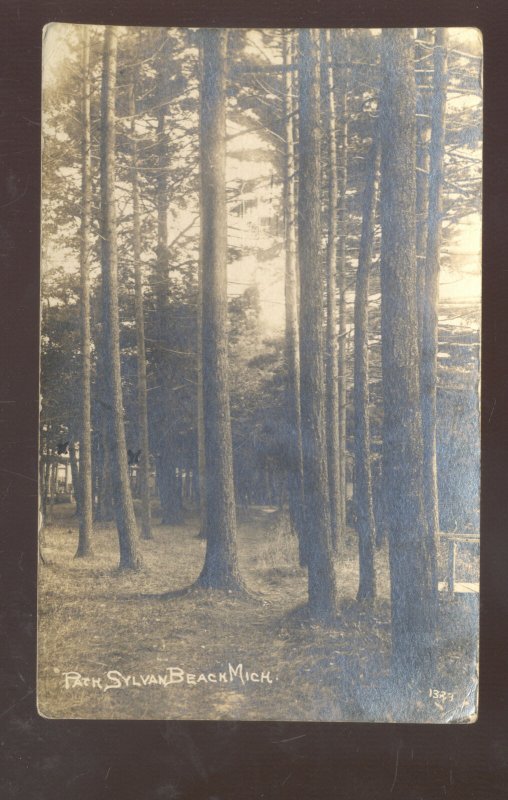 RPPC SYLVAN BEACH MICHIGAN PARK SCENE VINTAGE REAL PHOTO POSTCARD MARENGO