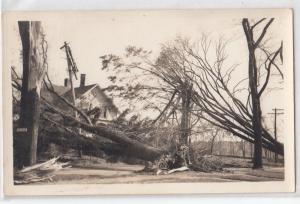 RPPC, Wind Damage, Oneco CT