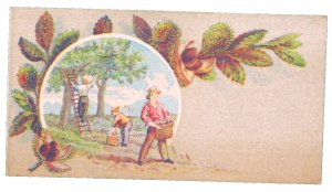 1870s-80s People with Baskets Picking Fruit from Trees Victorian Trade Card F26