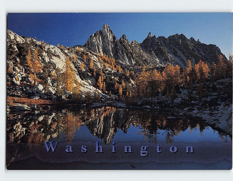 Postcard Washington