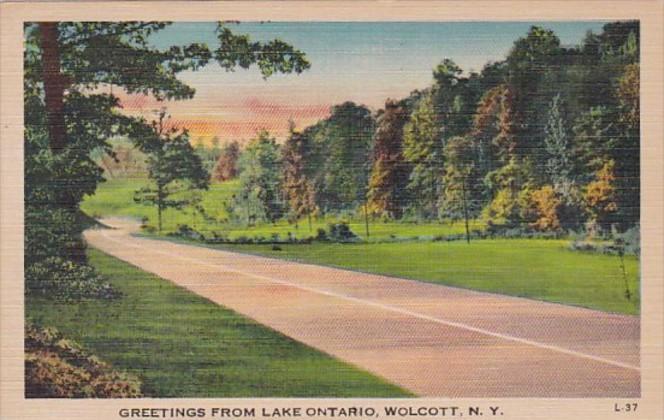 New York Greetings From Lake Ontario Wolcott