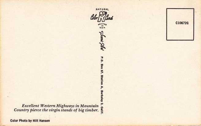 Highway through Virgin Stand of Big Timber - Western US