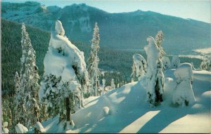 Chairlift Mountain Snoqualmie Summit Ski Area in Washington Postcard PC89