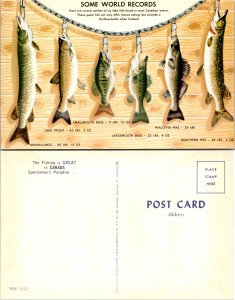 Some World Records The Fishing is Great in Canada Sportsman's Paradise (11699)