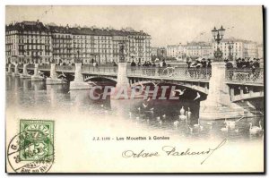 Old Postcard Geneva Seagulls