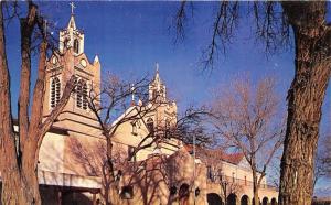 Albuquerque New Mexico~Church of San Felipe de Neri Through Trees~1950s Postcard