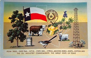 Pecan Trees State Flag, Texas TX Postcard