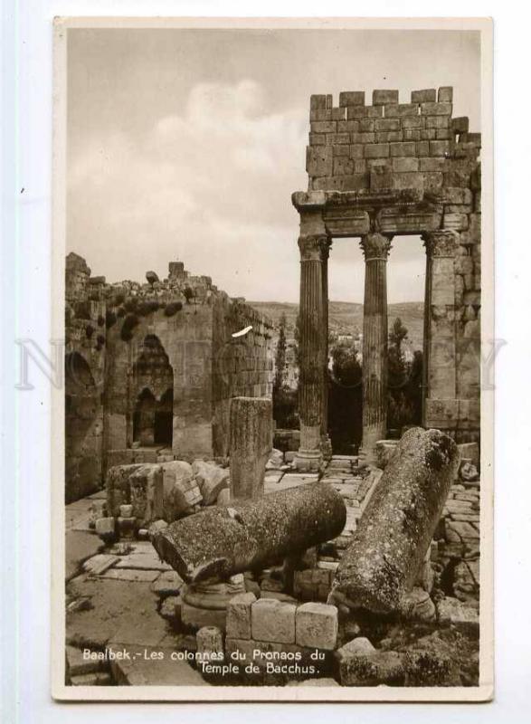 247764 SYRIA BAALBECK Bacchus temple Vintage photo postcard