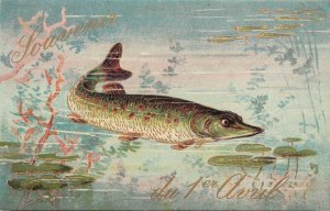 April Fools French Postcard Sturgeon Fish Swimming In a Pond