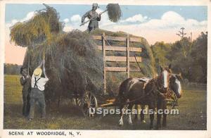 Hay Scene Woodridge NY Unused