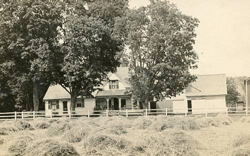 NH - Lisbon. The Locke Farm, 1910 Haying - RPPC