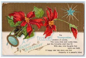 Birthday Postcard Poinsettia Flowers The Turquoise Embossed Easton PA 1909