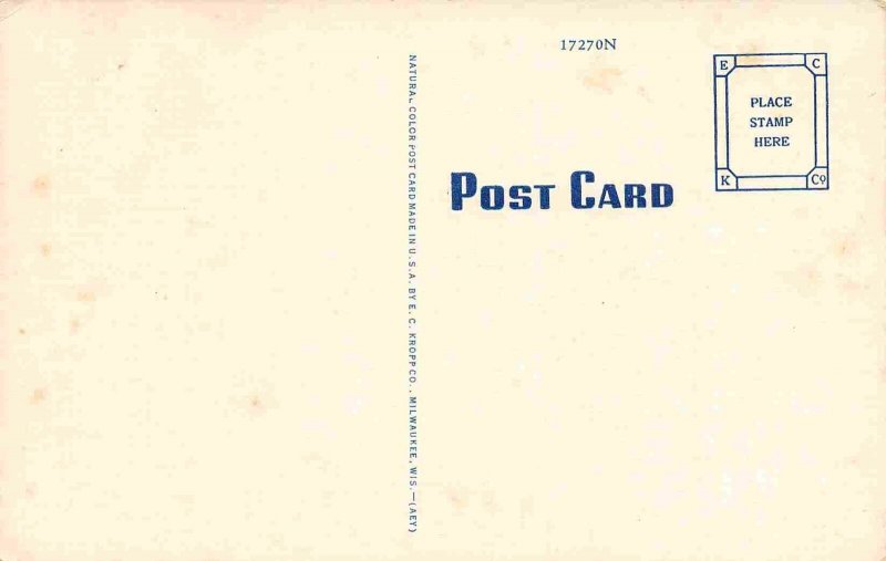 Making Sorghum Farming Ozarks Missouri linen postcard