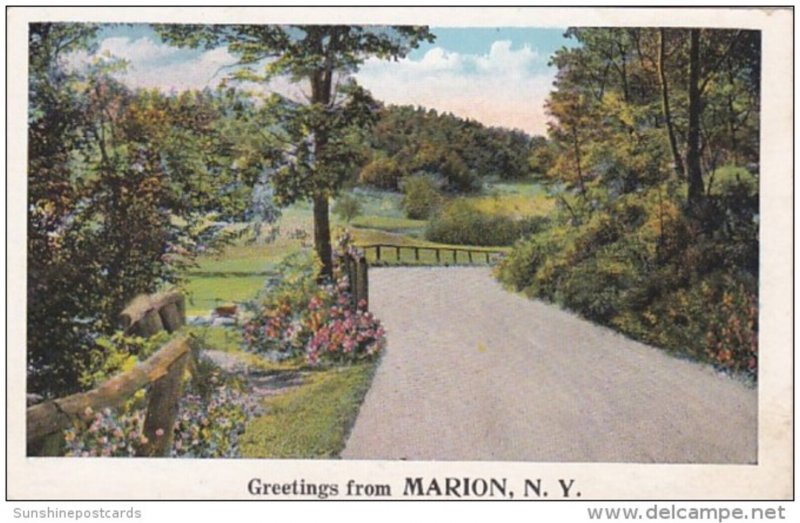 New York Greetings From Marion