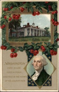 George Washington Patriotic White House Embossed Winsch c1910s Postcard