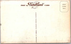 Postcard HOTEL SCENE Amarillo Texas TX AM3727