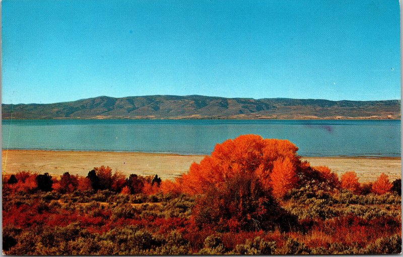 Bear Lake from East Side Idaho Utah Autumn Vista 1950s Vintage Postcard