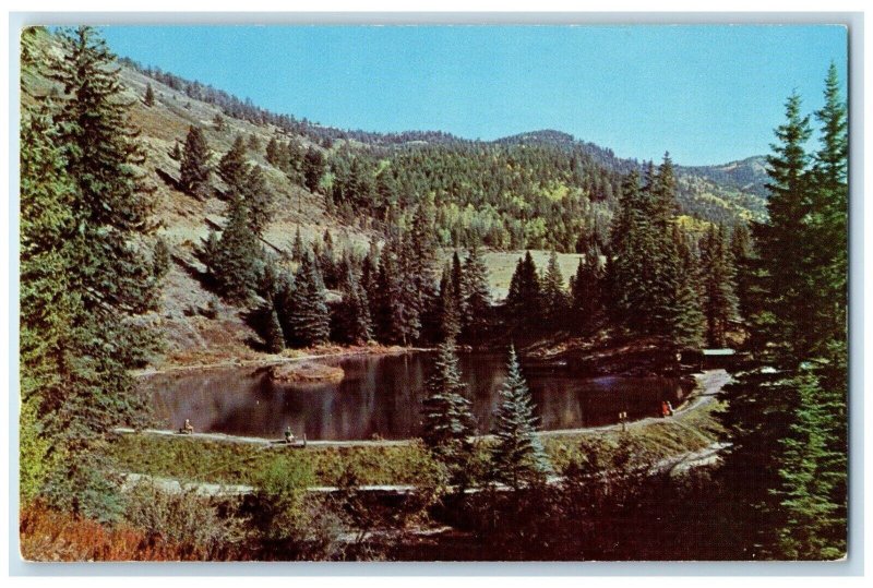c1950's View Of Tall Pine Resort Red River New Mexico NM Vintage Postcard