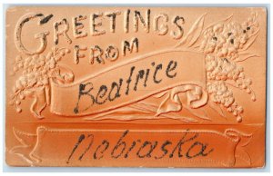 c1905 Glitter Embossed Flowers Greetings Beatrice Nebraska NE Unposted Postcard