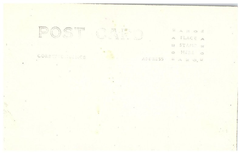 RPPC Postcard Bananas in Honolulu Reflecting on Water c1940