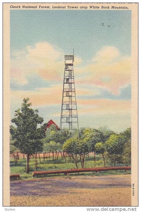 Ozark National Forest, Lookout Tower Atop White Rock Mountain, Near Mt. Gayle...