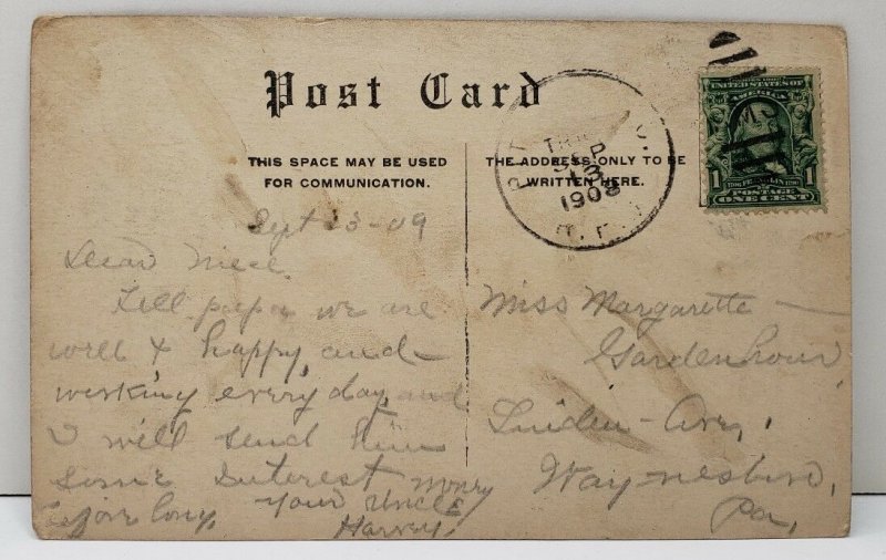 Alliance Ohio Carnegie Library c1908 Photo Postcard B6