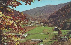 posted1976, Fall colors in Maggie Valley, North Carolina, standard, Chrome