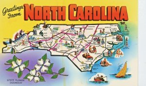 Postcard Greetings  from North Carolina         N7