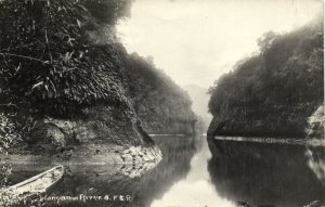 PC NEW ZEALAND, WANGANUI RIVER, Vintage REAL PHOTO Postcard (b43871)