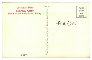 BELPRE, Ohio ~ Deer Laying in Treed Park Mule Whitetail Vintage Postcard