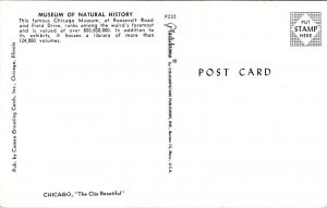 Museum Natural History Chicago IL Illinois Postcard UNP VTG Plastichrome Unused 