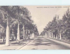 Unused Divided-Back STREET SCENE Fort Myers Florida FL hp2360