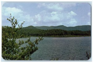 c1950's Carvin's Cove Roanoke City Reservoir Lake Roanoke Virginia VA  Postcard