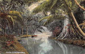 Scene on the Rio Cobre River Jamaica Unused 