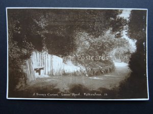 Kent FOLKSTONE Lower Road - A Sunny Corner c1928 RP Postcard by H. Wheeler