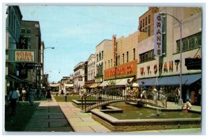 c1960 First Permanent Shoppers Downtown Mall Kalamazoo Michigan Vintage Postcard