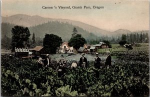 View of Carson's Vineyard, Grants Pass OR Vintage Postcard V47