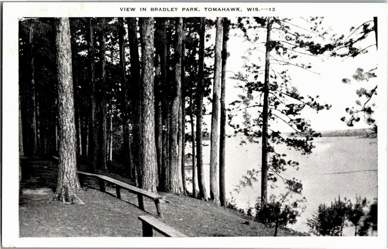 View of Lake in Bradley Park, Tomahawk WI Vintage Postcard E13