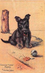 Scottie Dog Maud West Watson Artist Raphael Tuck Postcard O. F. 3682