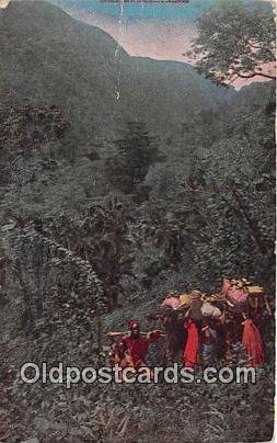 Climbing Mt Kilimajaro, Roosevelt Expedition 1910 