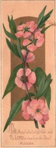 1880s-90s Blooming Pink Flowers Angel Robed In Light Hath The Lord Trade Card