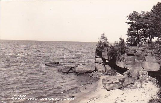 Point Aux Barque Michigan Real Photo