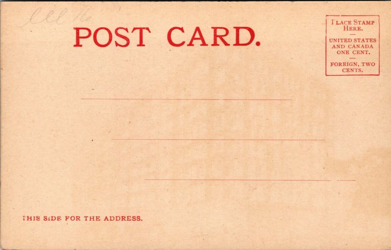 Vtg 1900s Potter Palmer's Residence & Lake Shore Drive Chicago IL Postcard