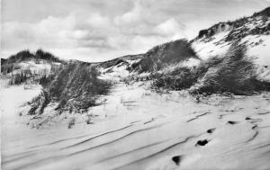 BG23747 insel sylt in den dunen    germany CPSM 14x9cm